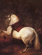 White horse VELAZQUEZ, Diego Rodriguez de Silva y